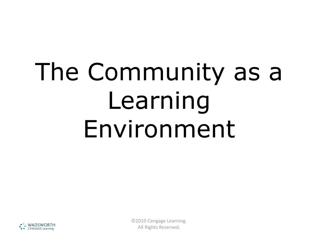 Ecology Of The Community Ppt Download ecology-of-the-community-ppt-download
