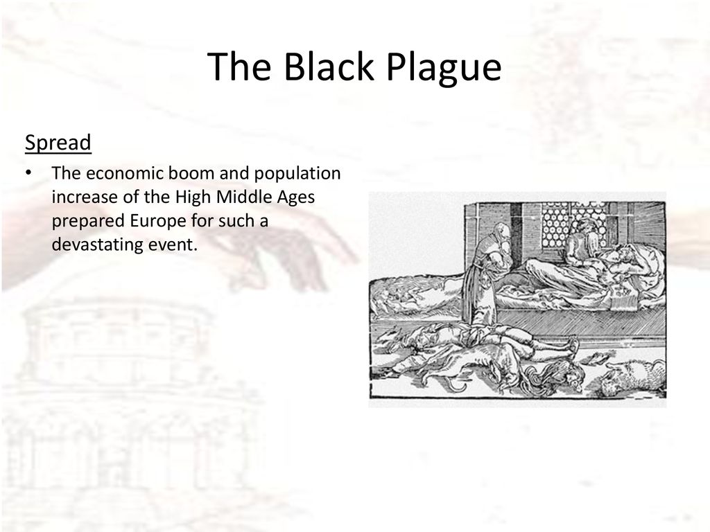 The Black Plague Spread