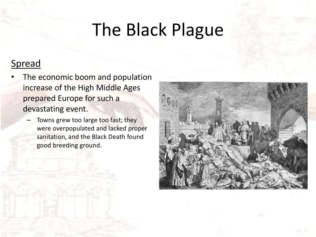 The Black Plague Spread