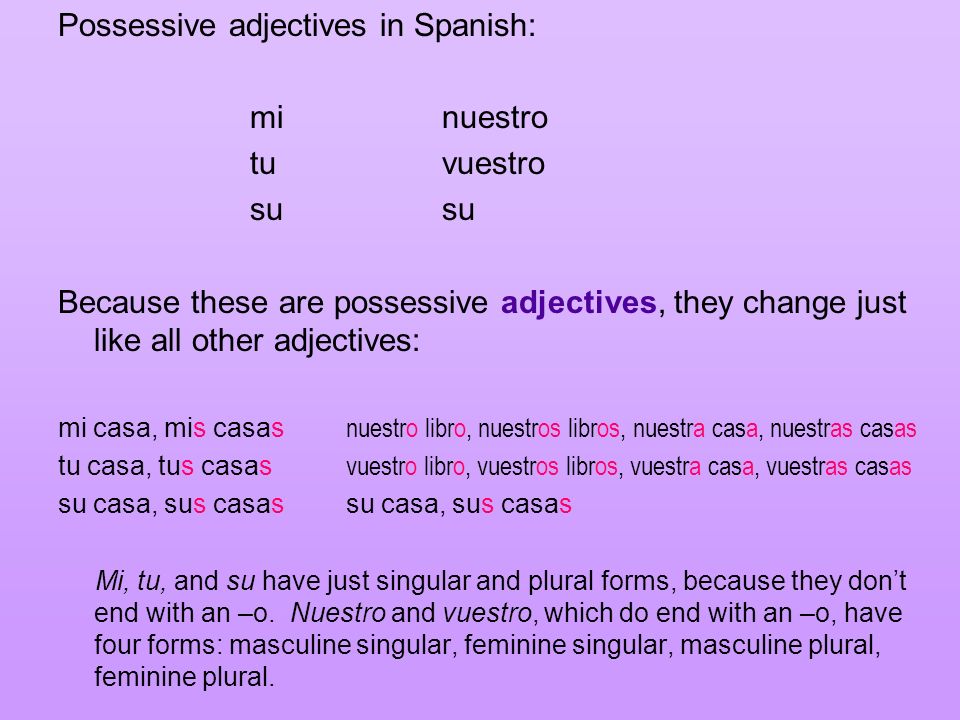 Possessive adjectives in Spanish: mi nuestro tu vuestro su su