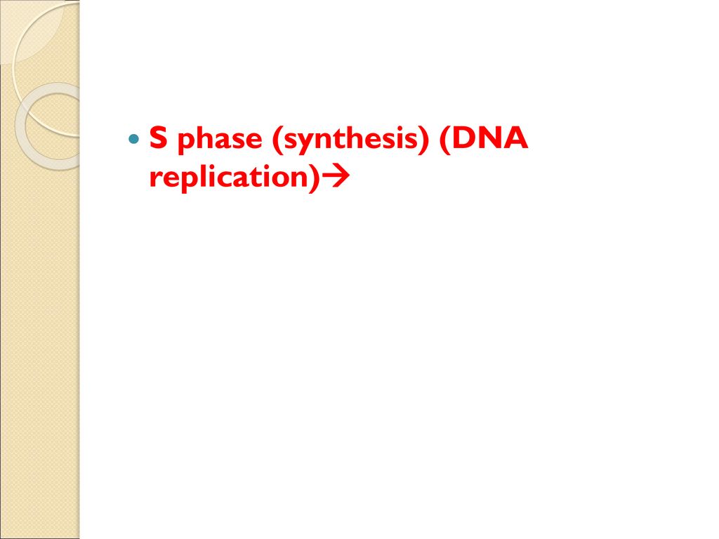Cell Cycle and Cellular Division Biology Diagrams