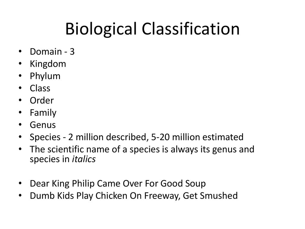 The Linnaean System of Classification - ppt download