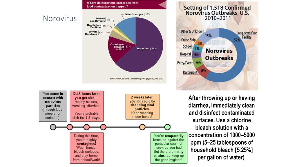 Virology And Oncology Virology And Oncology Different Types Of Entry   Norovirus 