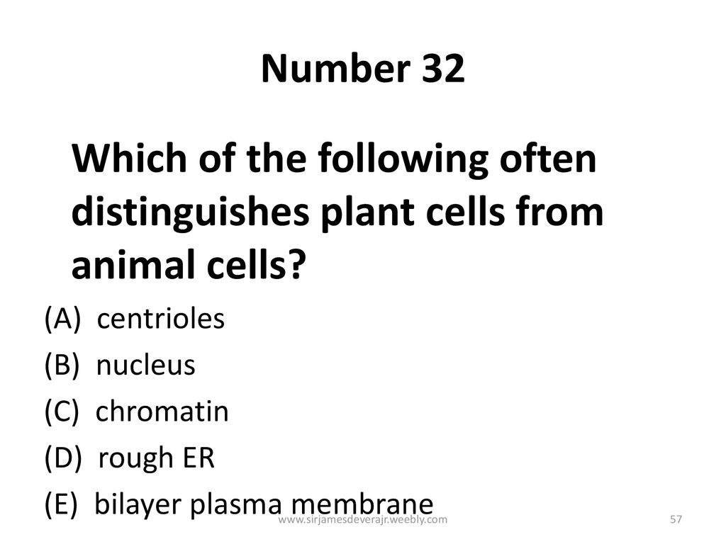 Sample Questions In Biology Ppt Download