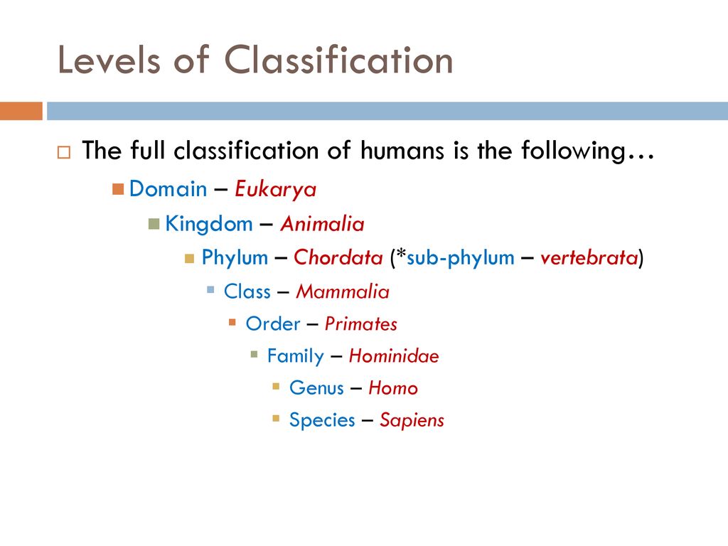 Text Chapter 2 (cont’d) Living Things. - ppt download