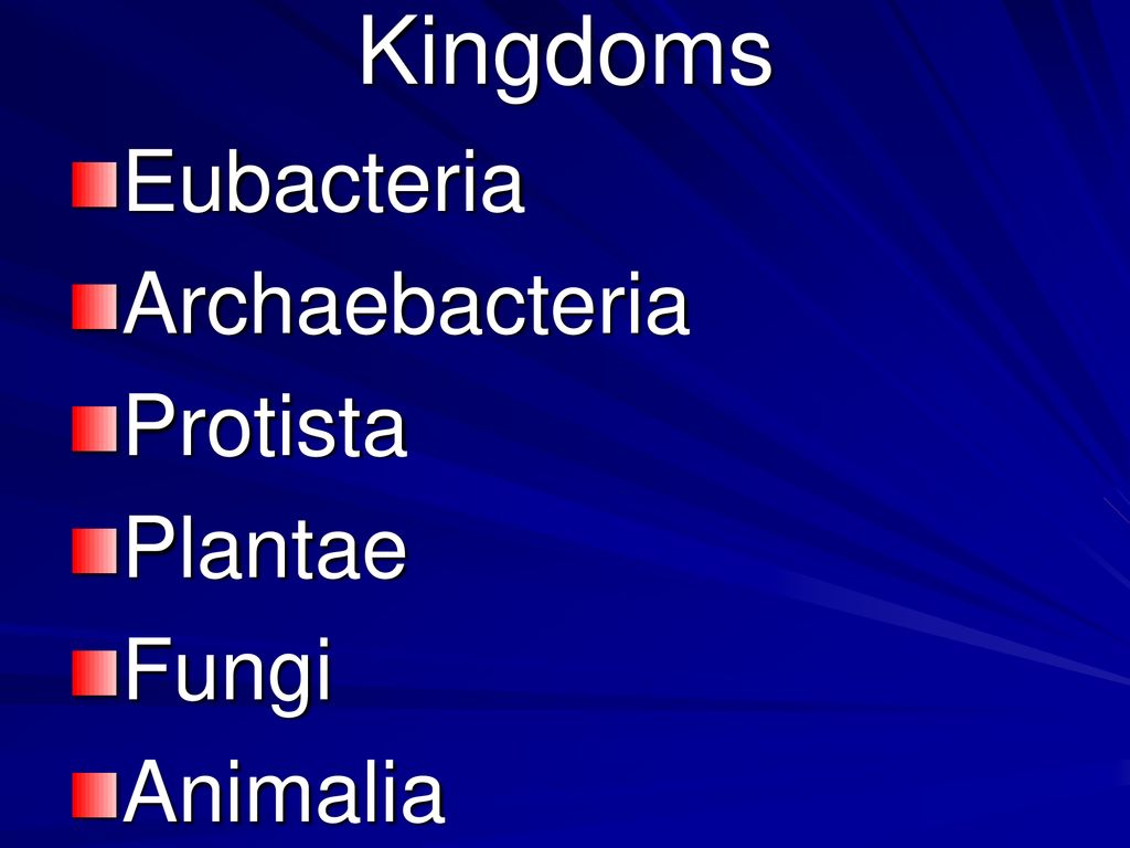 Classification Notes. - ppt download