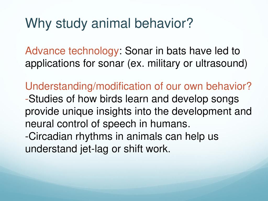 Animal Behavior. - ppt download