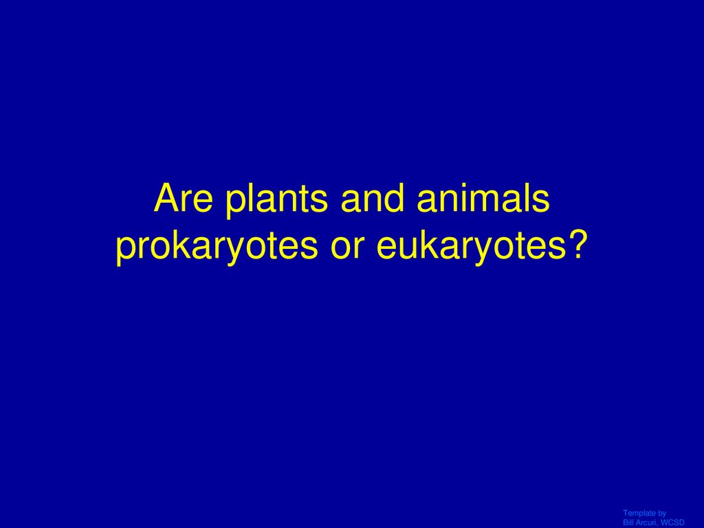 Cell Part 1 TEST TOMORROW Ppt Download cell-kids-britannica-kids-homework-help