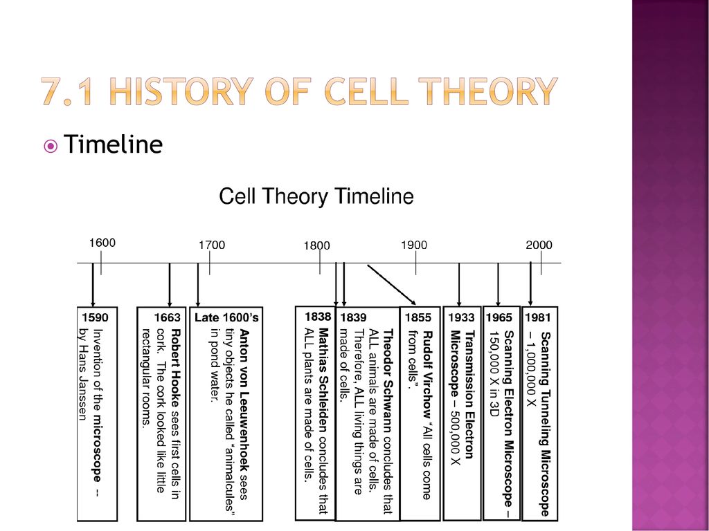 Chapter 7 Cell Structure and Function - ppt download