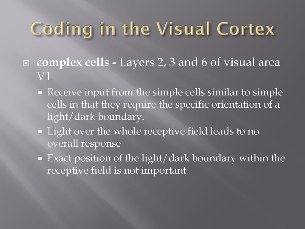 Coding in the Visual Cortex