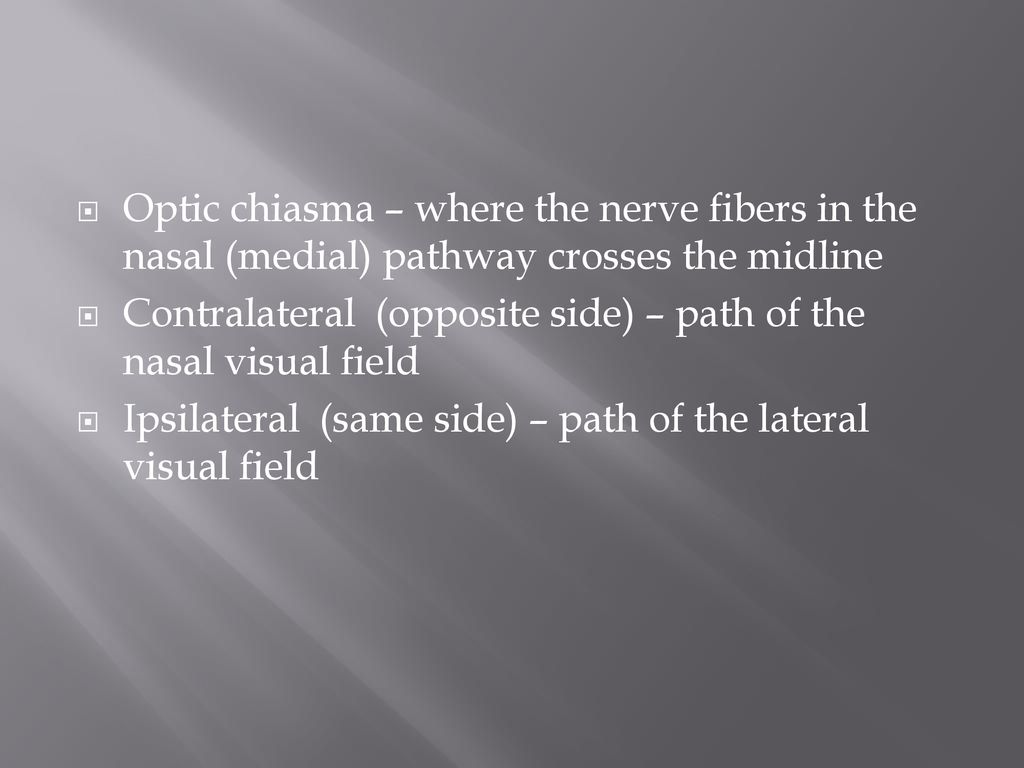 Optic chiasma – where the nerve fibers in the nasal (medial) pathway crosses the midline