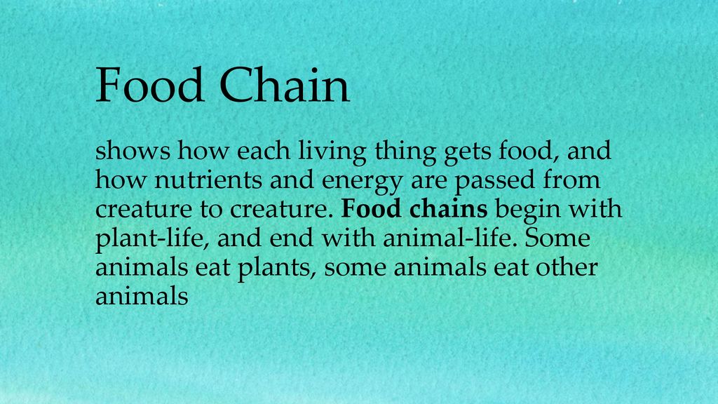 Keystone Species Biology Diagrams