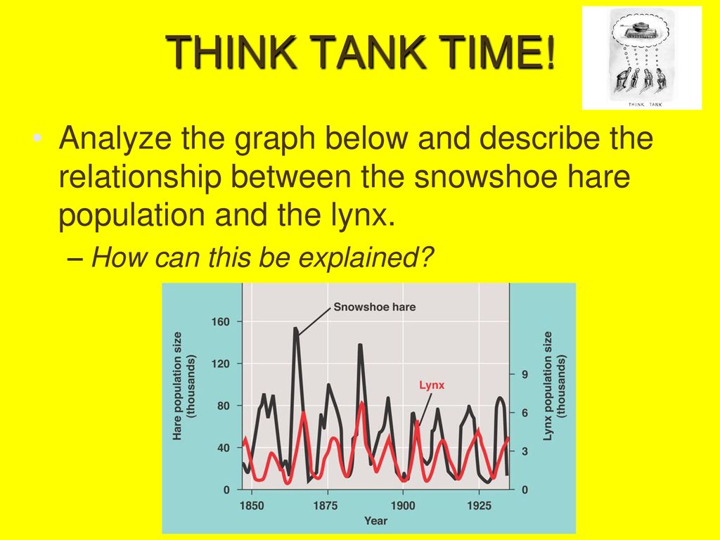 Chapter 53 – Population Ecology - ppt download