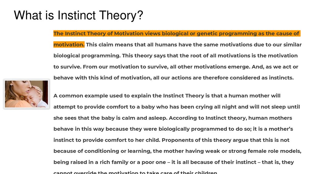 instinct theory