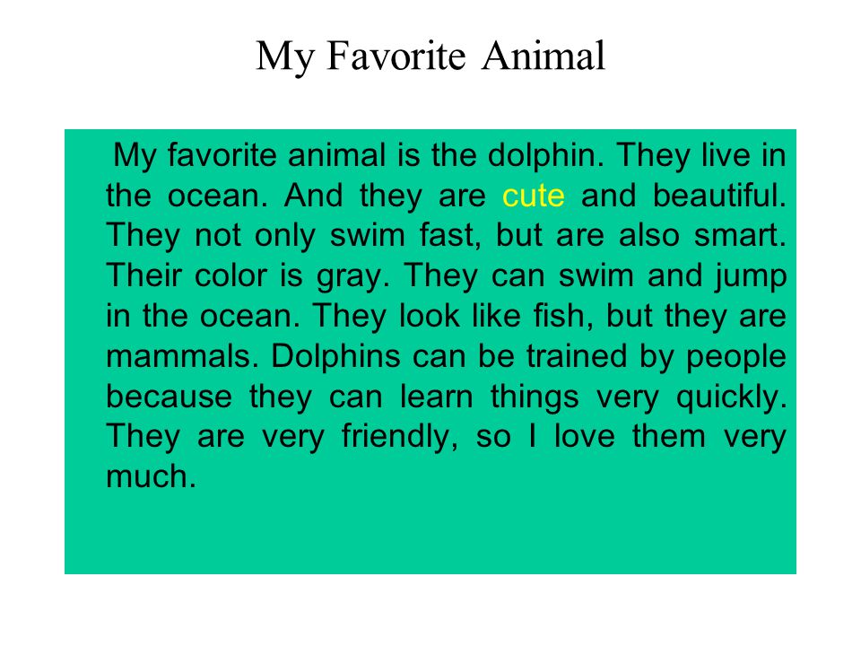 Wild animals as pets essay. Проект my favourite animal. My favourite animal топик. Тема my favourite animal. My favourite animal 4 класс.