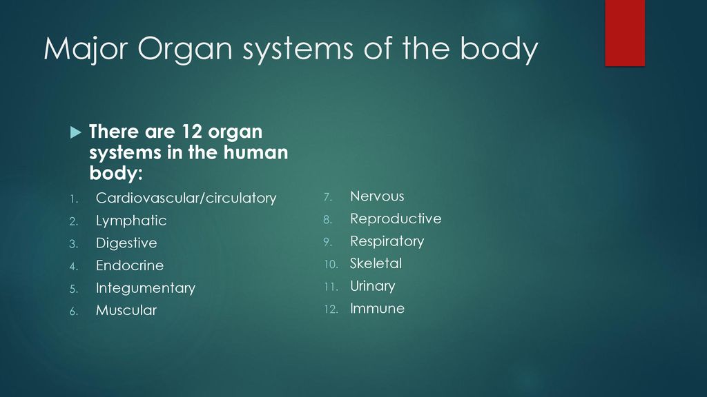 Structure and Function Biology Diagrams