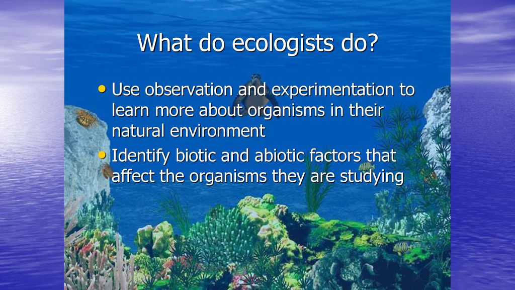 Intro to Ecology Ch. 3. Intro to Ecology Ch ppt download