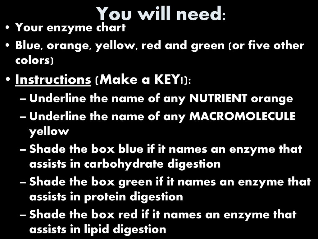 You will need: Instructions (Make a KEY!): Your enzyme chart