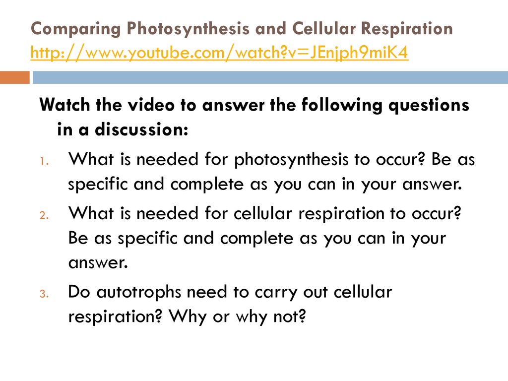 Watch The Video To Answer The Following Questions In A Discussion Ppt Download