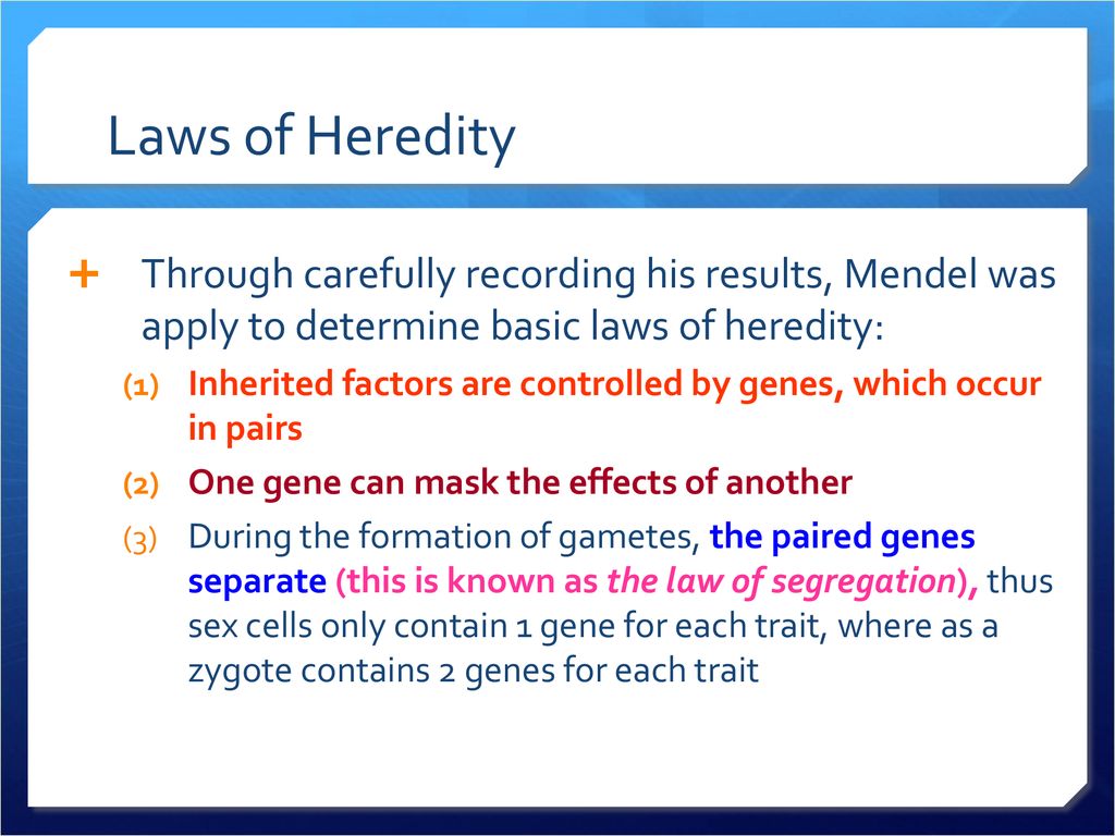 Genes and Heredity. ppt download