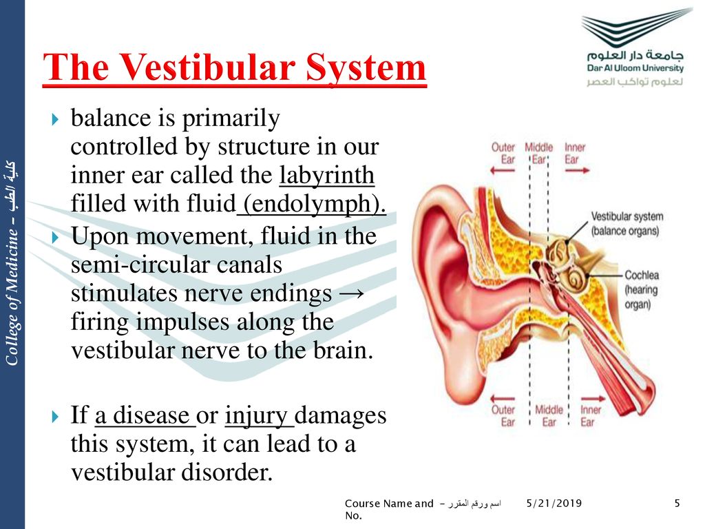Drugs Affecting The Balance System Ppt Download