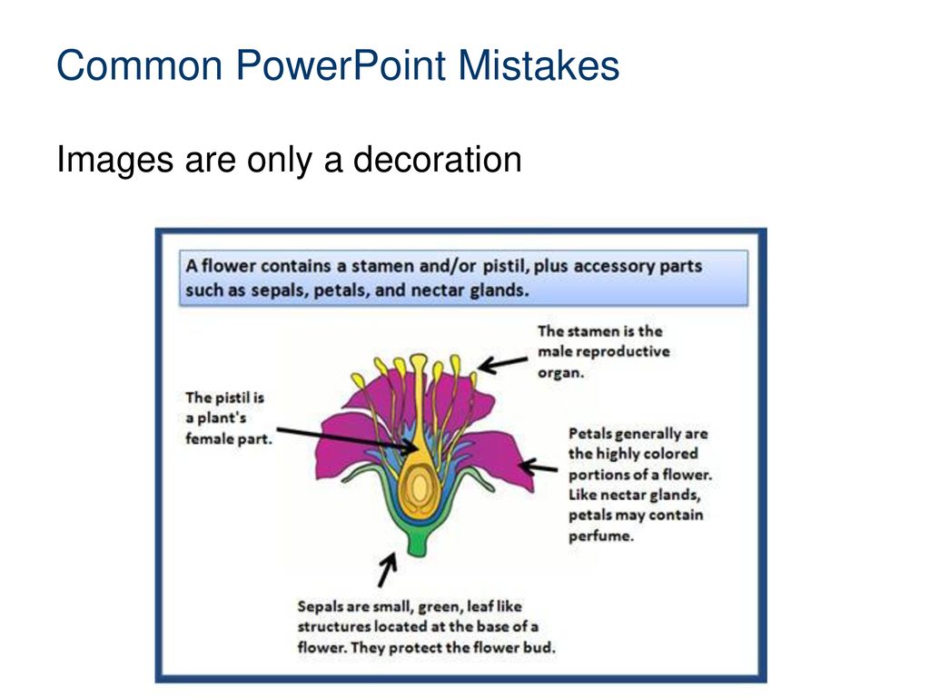Common PowerPoint Mistakes