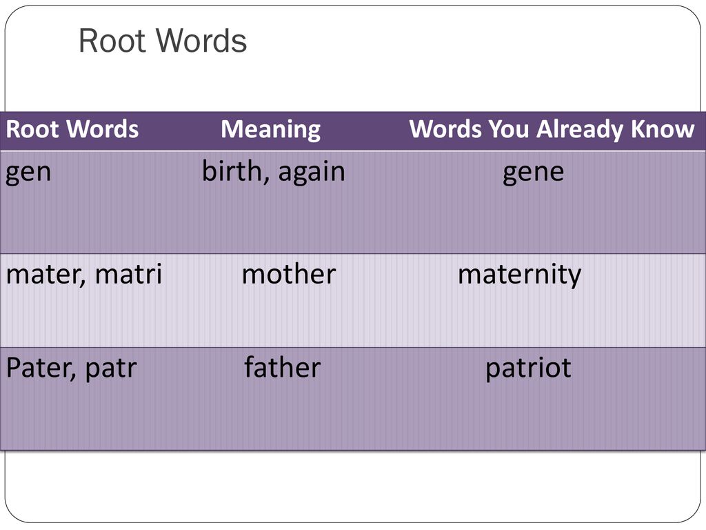 Vocabulary Red Hot Root Words ppt download