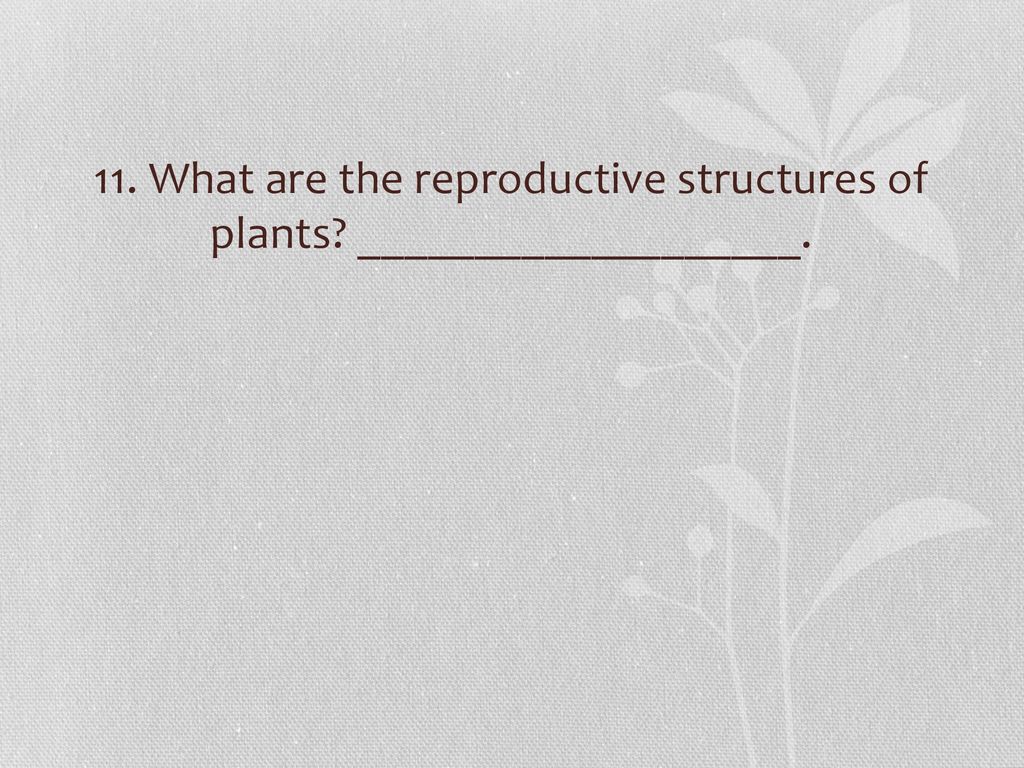 11. What are the reproductive structures of plants ___________________.