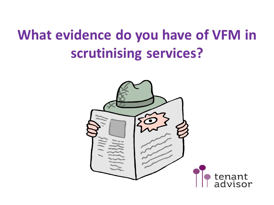 What evidence do you have of VFM in scrutinising services