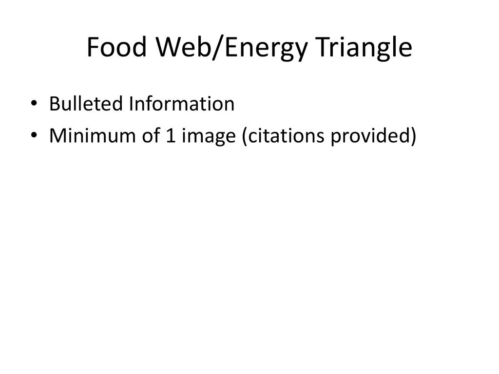 Food Web/Energy Triangle