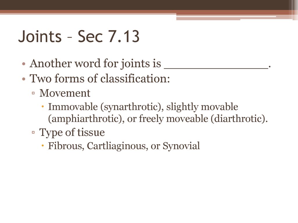 Ch 7 Skeletal System Notes. ppt download