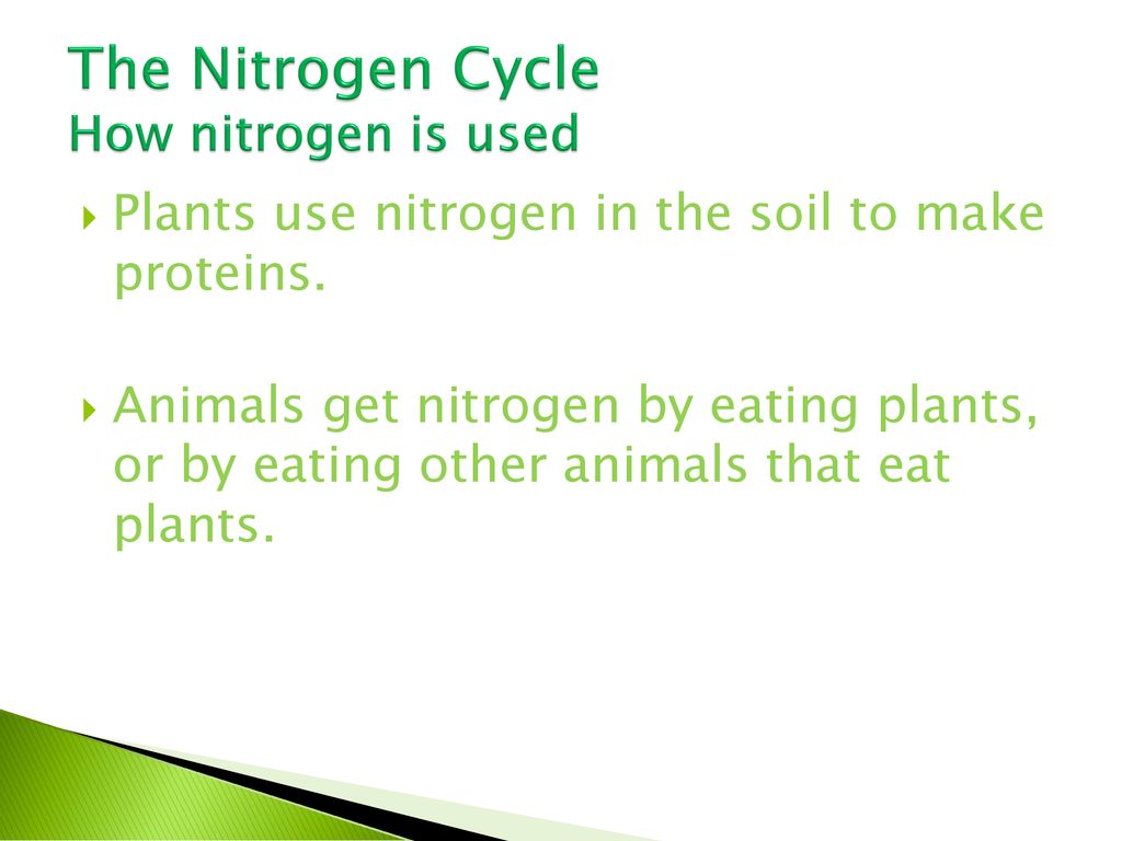 Unit B Systems and Interactions in Nature ppt download