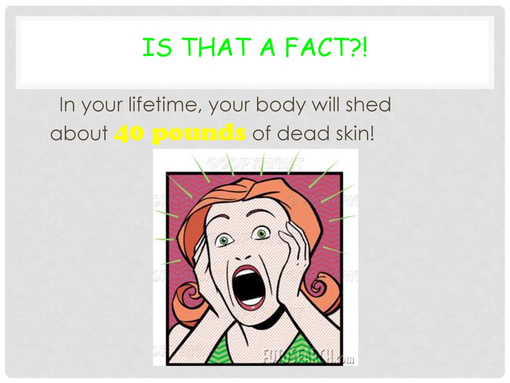 Is That a Fact ! In your lifetime, your body will shed about 40 pounds of dead skin!