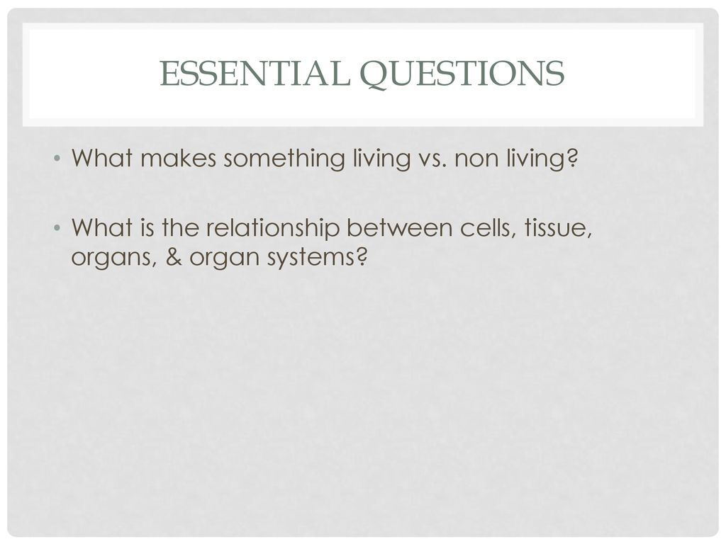 ESSENTIAL QUESTIONS What makes something living vs. non living