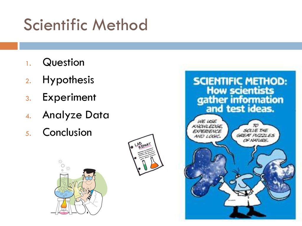 Science Basics. - ppt download