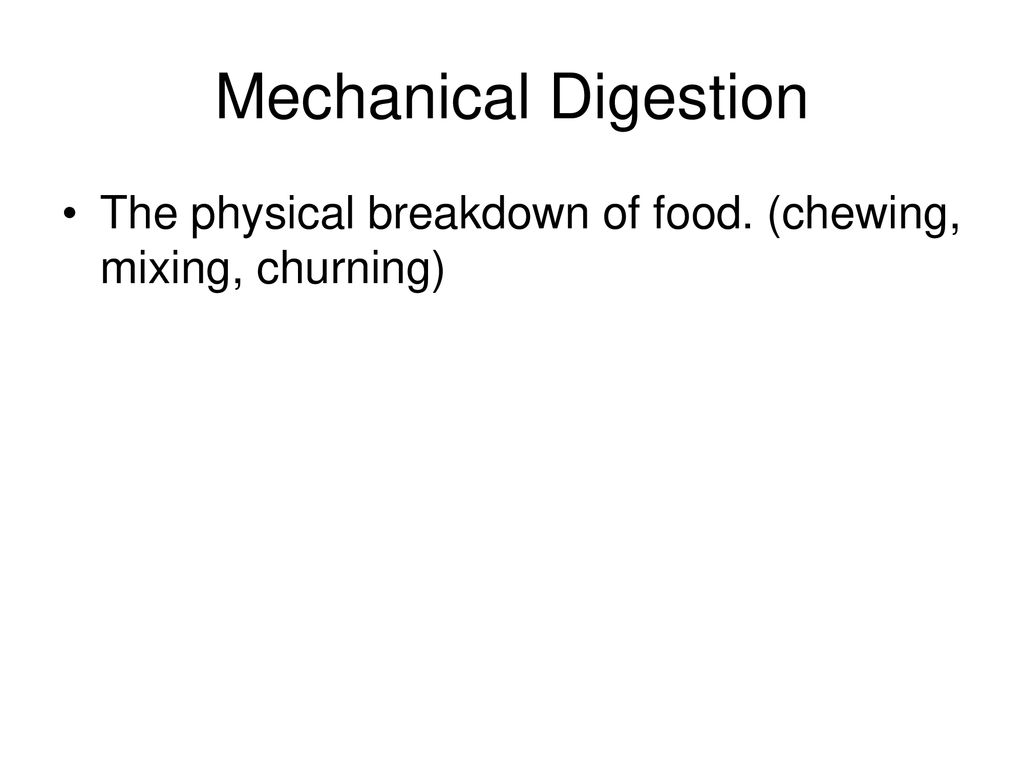 Mechanical Digestion The physical breakdown of food. (chewing, mixing, churning)