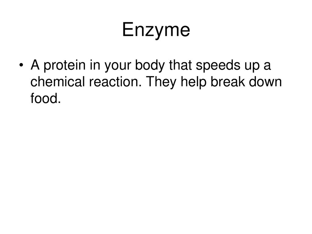 Enzyme A protein in your body that speeds up a chemical reaction. They help break down food.