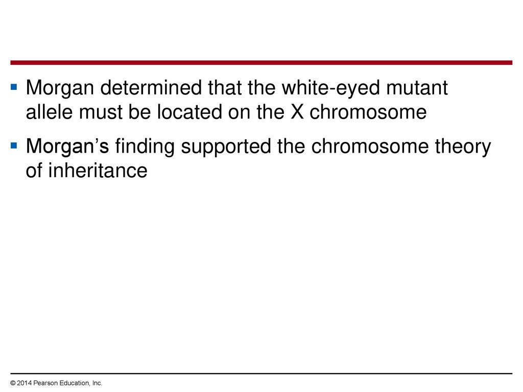 Morgan’s finding supported the chromosome theory of inheritance