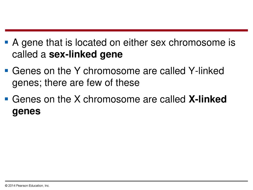 Genes on the X chromosome are called X-linked genes