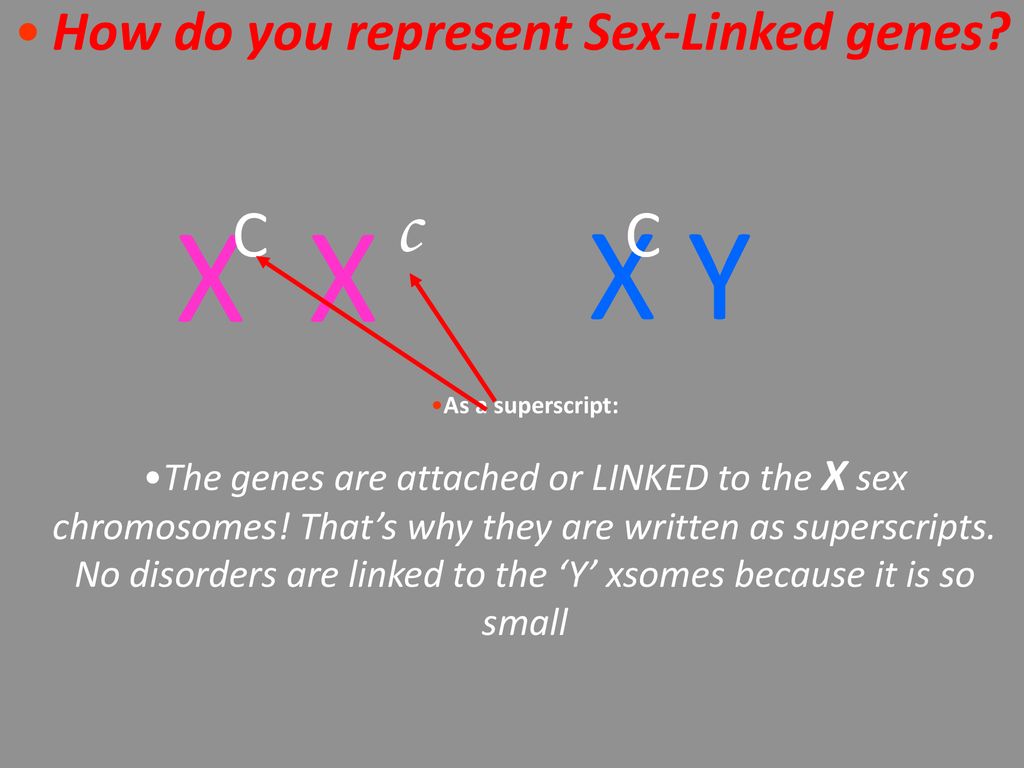 I Will Review Dihybrid Crosses And Then Learn Sex Linked Crosses Ppt