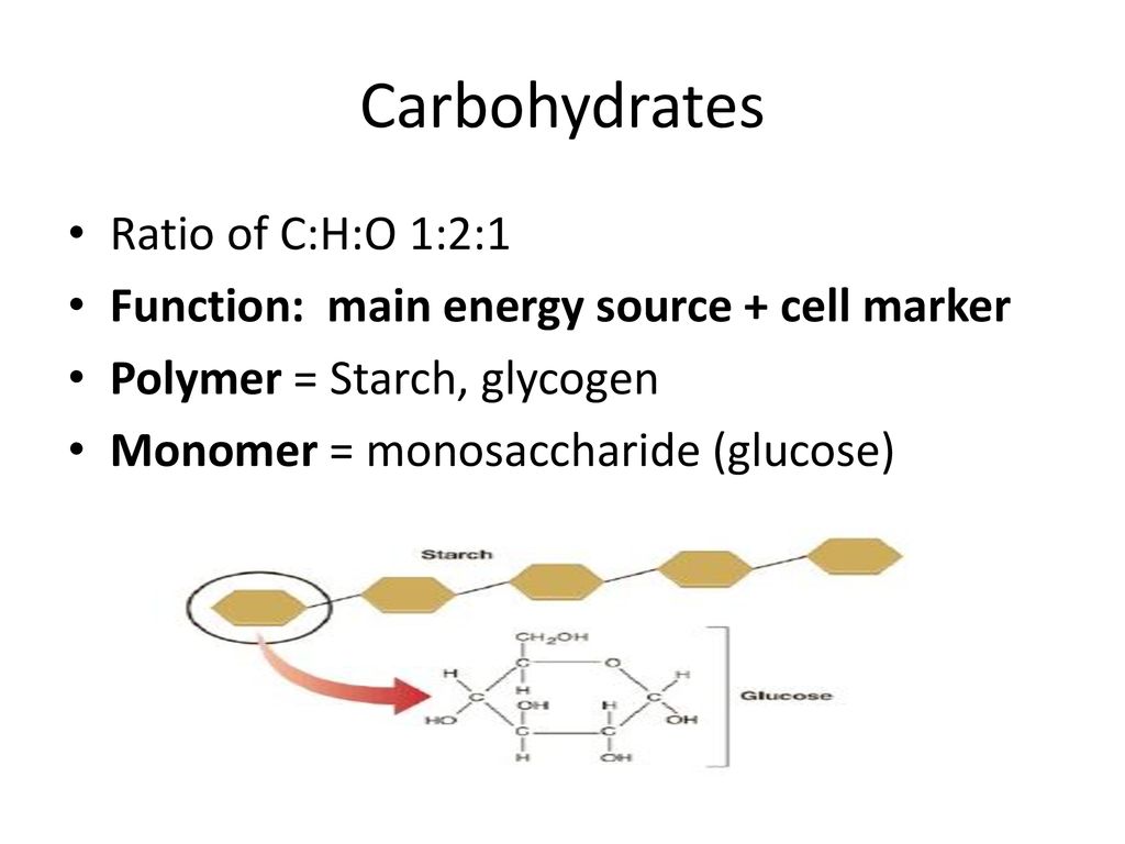 Chemistry of Life Enzymes - ppt download