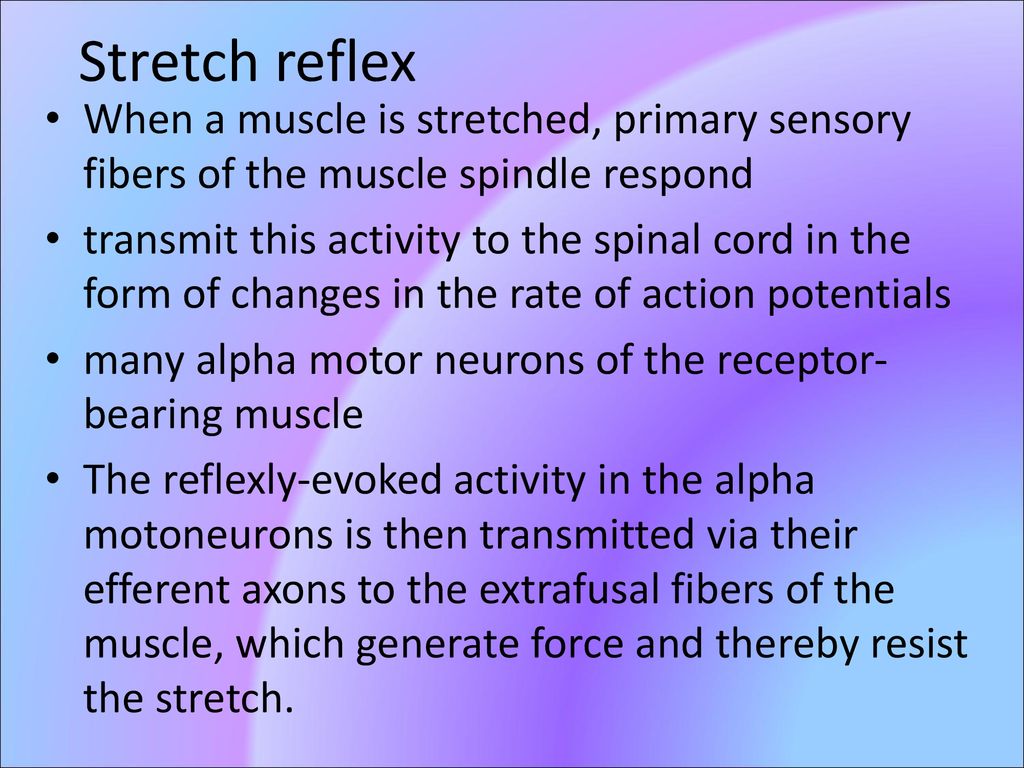 Muscle Mechanics. Biology Diagrams