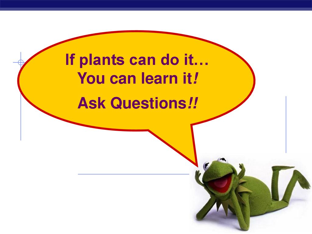 If plants can do it… You can learn it!