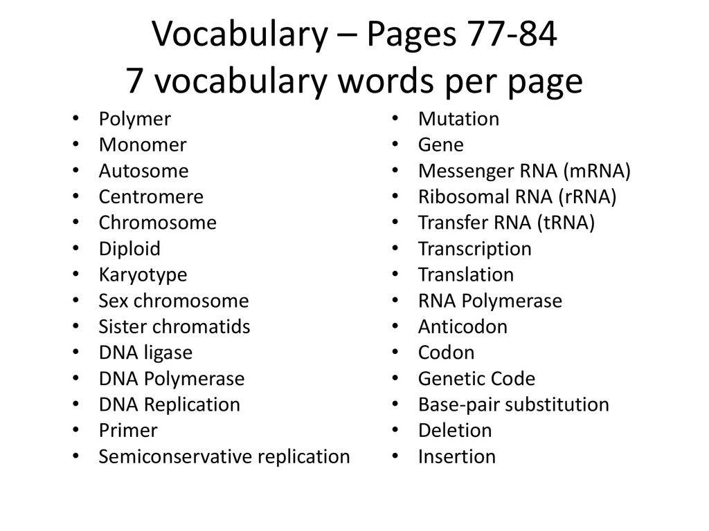 Sex Vocabulary Words