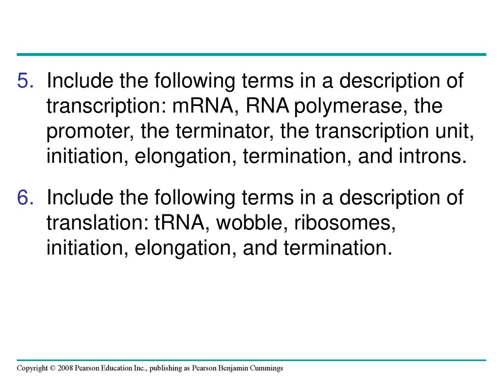Include the following terms in a description of transcription: mRNA, RNA polymerase, the promoter, the terminator, the transcription unit, initiation, elongation, termination, and introns.