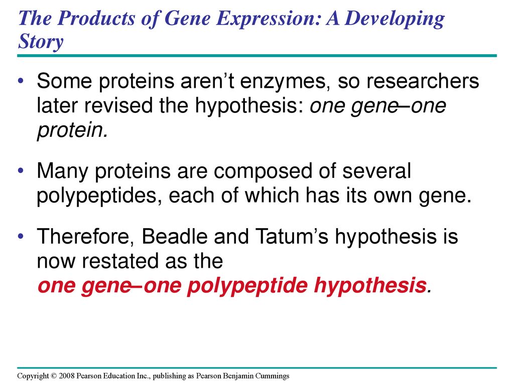 The Products of Gene Expression: A Developing Story