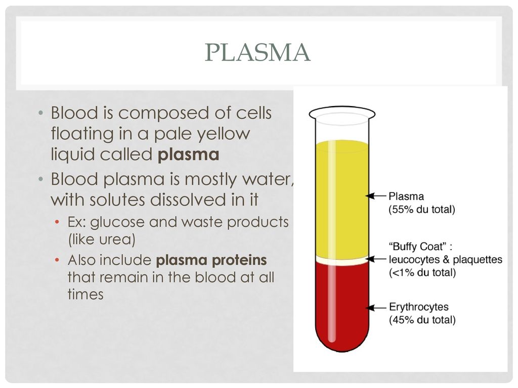 Почему кровь желтая. Сыворотка крови. Плазма и сыворотка крови. Состав сыворотки крови.