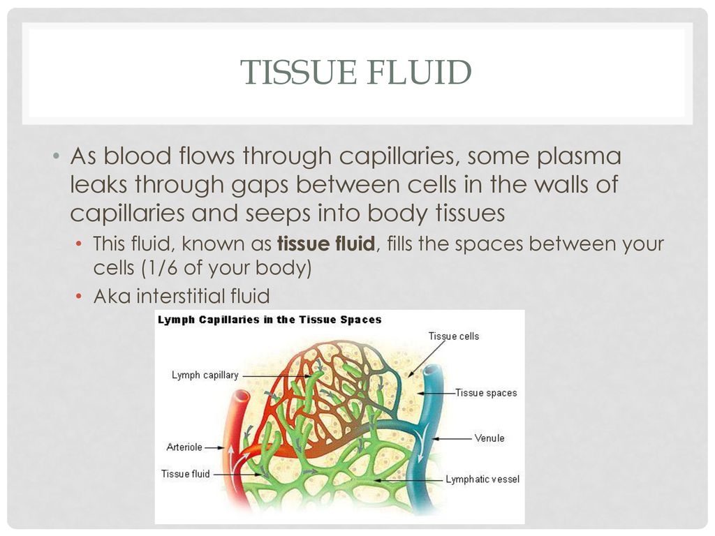 Chapter 8.2 Blood composition ppt download