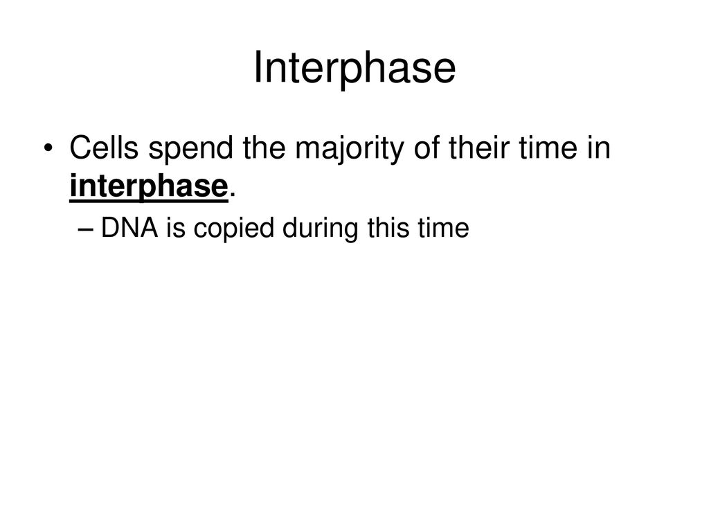The Cell Cycle. Biology Diagrams