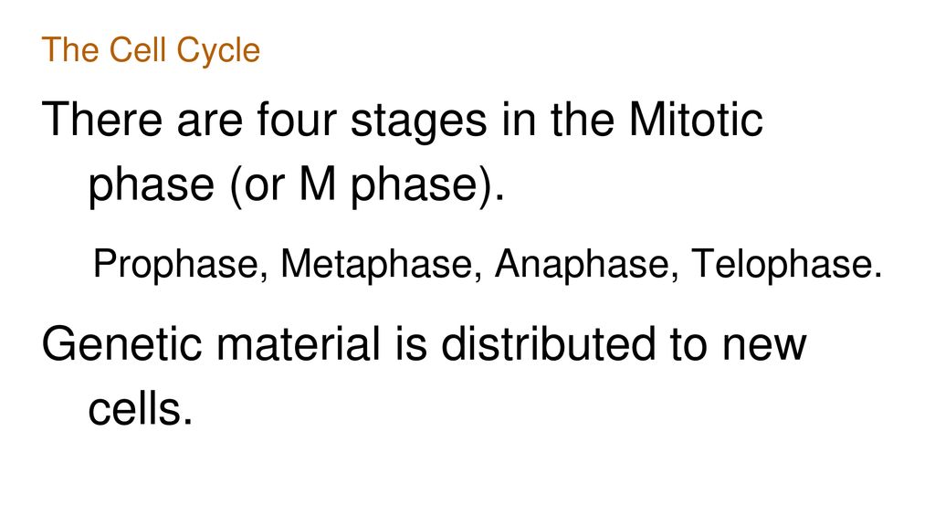 Cell Cycle and Mitosis Notes Biology Diagrams